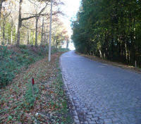 Bosberg