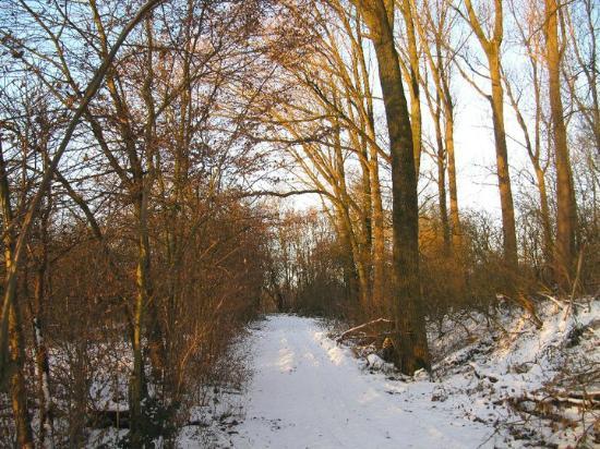 Stedelijk Natuurreservaat Bourgoyen-Ossemeersen