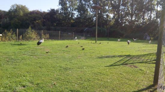 Recreatiepark De Brielmeersen