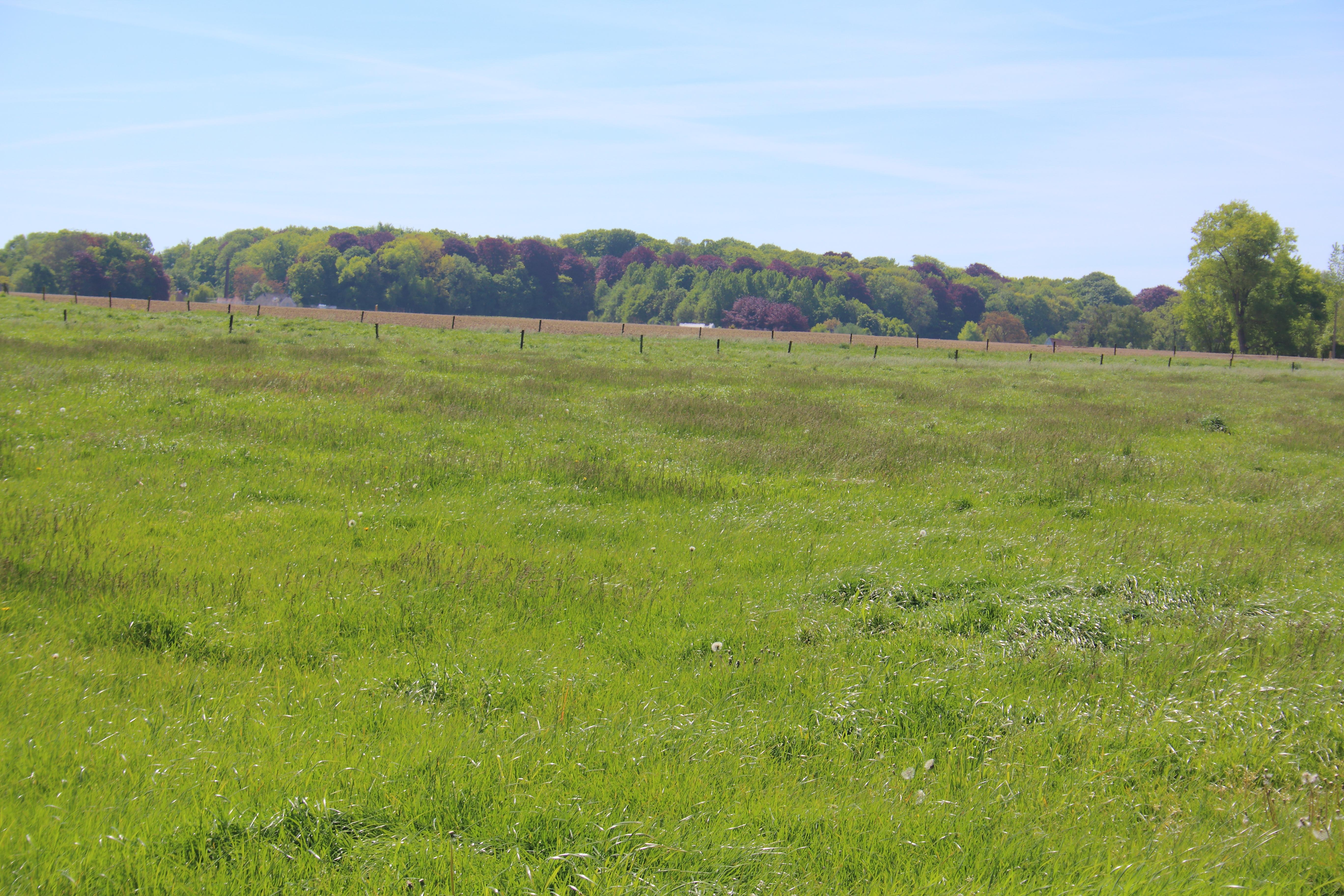 Betsbergebos