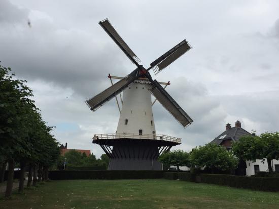 The White Mill
