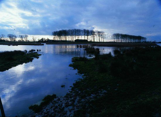 Meetjeslandse Kreken